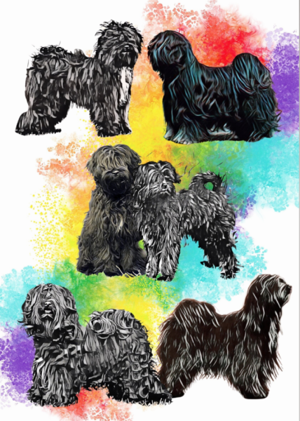 Farbenvielfalt meets Rainbow – "Black"